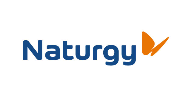logo vector Naturgy
