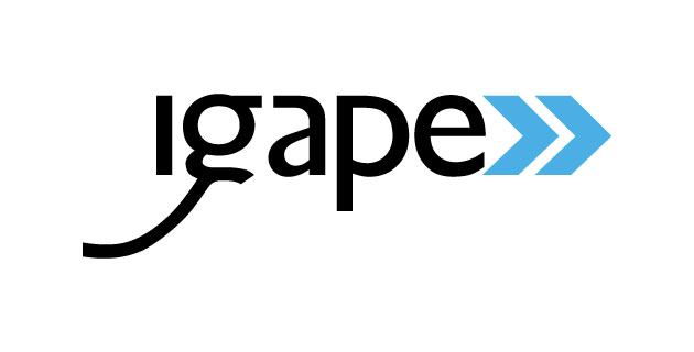 logo vector IGAPE