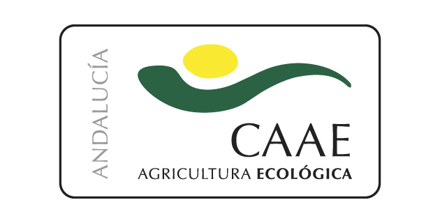 logo vector CAAE