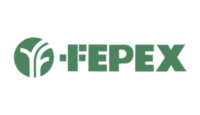 logo vector Fepex