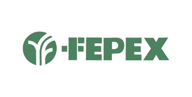 logo vector Fepex