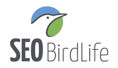 logo vector SEO Birdlife