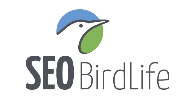 logo vector SEO Birdlife