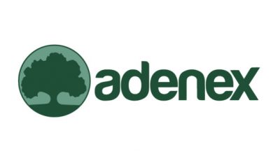 logo vector Adenex