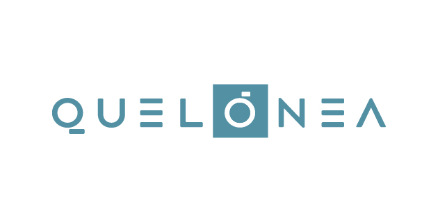logo vector Quelonea