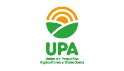 logo vector UPA