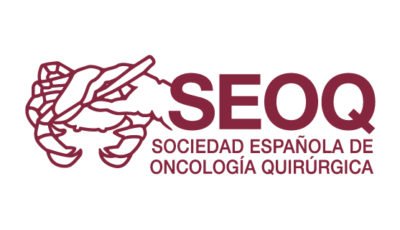 logo vector SEOQ