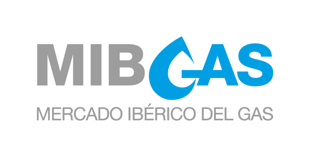 logo vector MIBGAS