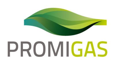 logo vector PROMIGAS