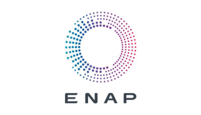 logo vector ENAP