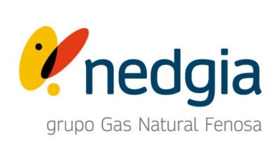 logo vector Nedgia