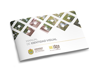 Gobierno del Estado de Veracruz manual de identidad visual