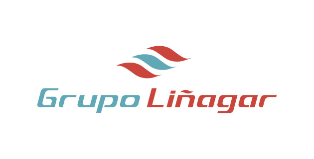 logo vector Grupo Liñagar