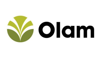 logo vector Olam