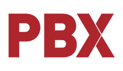 logo vector Palibex