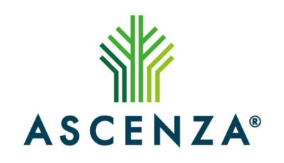 logo vector Ascenza