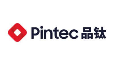 logo vector Pintec