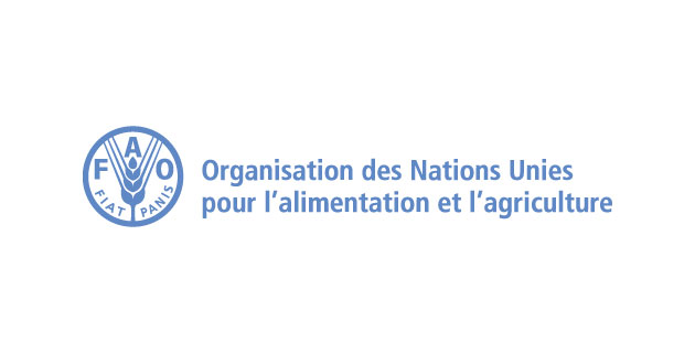logo vector FAO