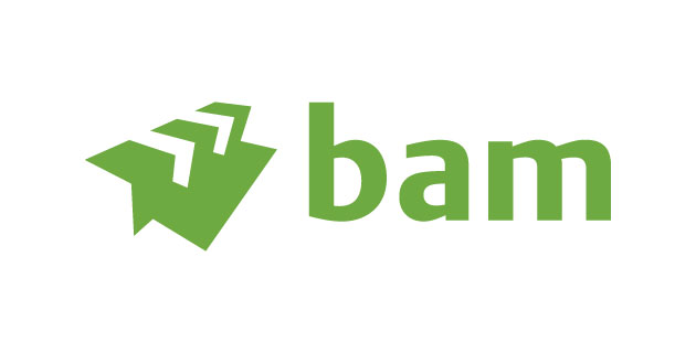 logo vector BAM