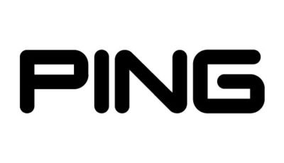 logo vector Ping