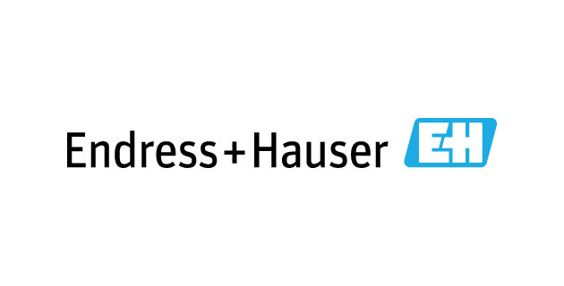 logo vector Endress+Hauser