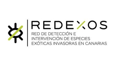 logo vector REDEXOS