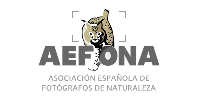 logo vector Aefona