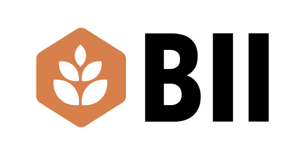 logo vector BII