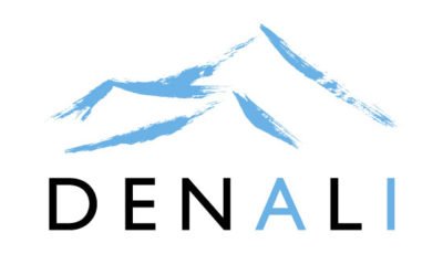 logo vector Denali
