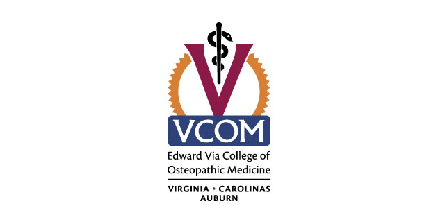 logo vector VCOM