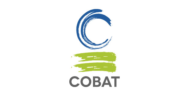 logo vector COBAT