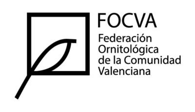 logo vector FOCVA