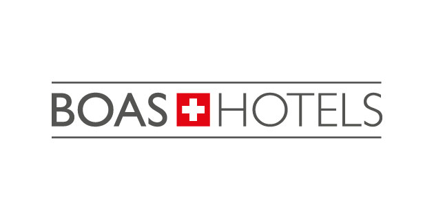 logo vector Groupe Boas