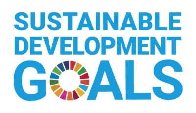 logo vector Sustainable Development Goals - Objetivos de Desarrollo sostenible