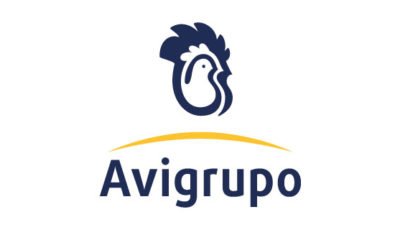 logo vector Avigrupo
