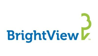 logo vector BrightView