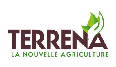 logo vector Terrena