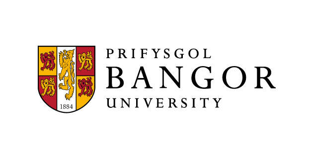 logo vector Bangor University