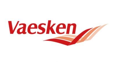 logo vector Vaesken