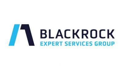 logo vector Blackrock Expert Services Group