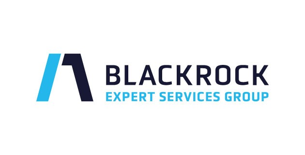 logo vector Blackrock Expert Services Group