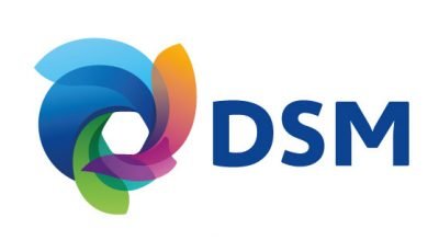 logo vector Royal DSM
