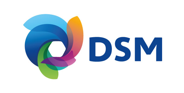 logo vector Royal DSM