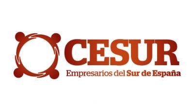 logo vector Cesur