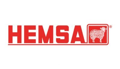 logo vector Hemsa