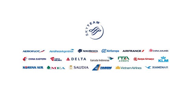logo vector SkyTeam