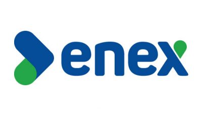 logo vector Enex