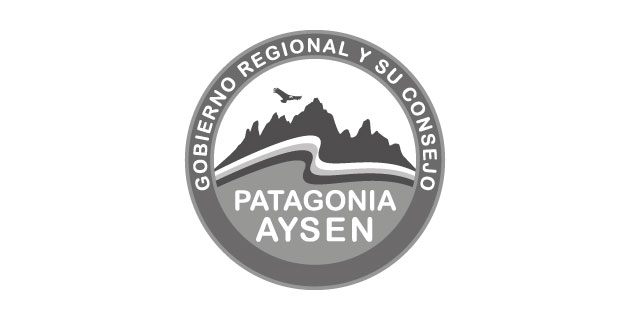 logo vector Gobierno Regional de Aysén