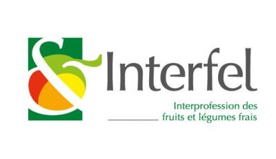 logo vector Interfel