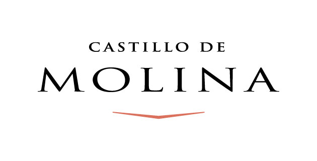 logo vector Castillo de Molina